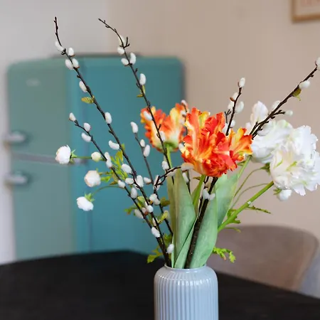 Charles & Kaetchen Design Zentrum Appartement